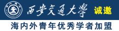 17Czzz诚邀海内外青年优秀学者加盟西安交通大学